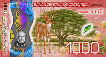 ₡1000 Reverso